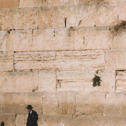 daniel-newman-SMfKVrM62Hg-unsplash