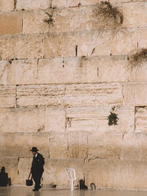 daniel-newman-SMfKVrM62Hg-unsplash