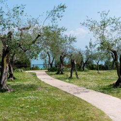 ivanna-vinnicsuk-SAkbaRsnEEg-unsplash