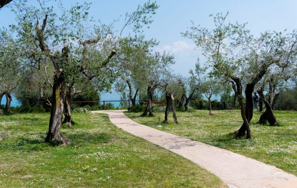 ivanna-vinnicsuk-SAkbaRsnEEg-unsplash