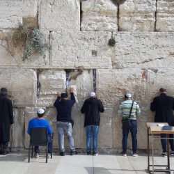 thomas-vogel-PiU7uW9ZX9c-unsplash