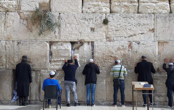 thomas-vogel-PiU7uW9ZX9c-unsplash